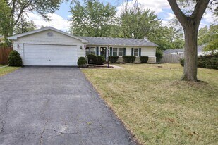 1119 Crest Ln in Western Springs, IL - Building Photo