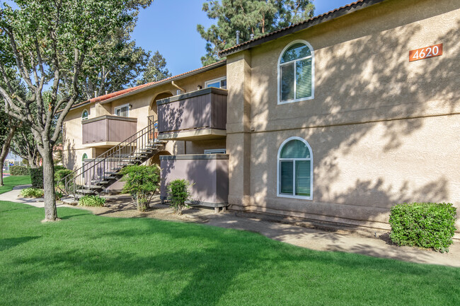 Oak View Apartments in Visalia, CA - Foto de edificio - Building Photo