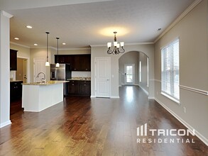 218 Annapolis Bend Cir in Hendersonville, TN - Building Photo - Building Photo