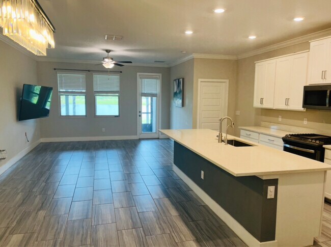 4208 Cadence Loop in Land O Lakes, FL - Building Photo - Building Photo