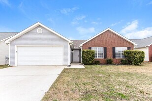 11441 Vinea Ln in Hampton, GA - Building Photo