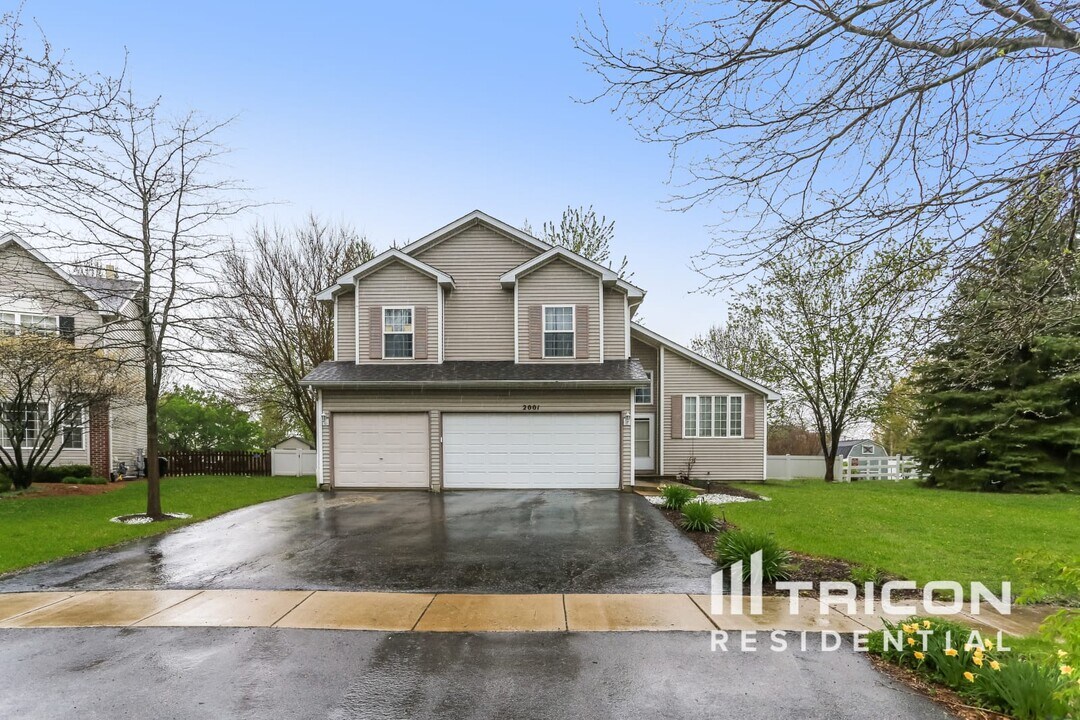 2001 Gray Hawk Dr in Plainfield, IL - Building Photo