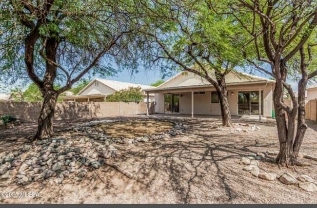 1989 W Cholla Vista Dr
