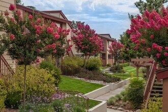 Don Miguel Apartments in Rancho Cucamonga, CA - Foto de edificio - Building Photo