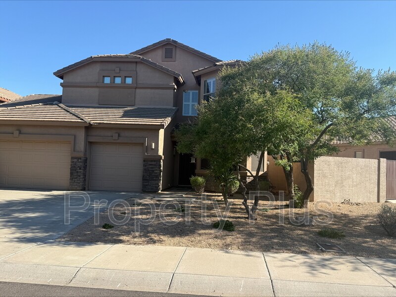 8355 W Molly Ln in Peoria, AZ - Building Photo