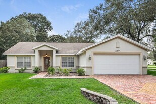 23214 Sierra Rd in Land O Lakes, FL - Building Photo