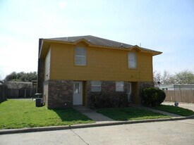 2040 Minnie Dr in Arlington, TX - Building Photo
