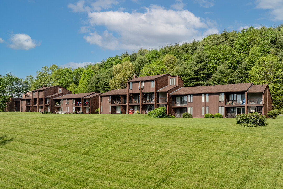 NorthEast Terrace in Amherst, MA - Building Photo