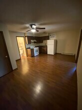 127 W Taylor St, Unit ApartmentD in Grant Park, IL - Building Photo - Building Photo