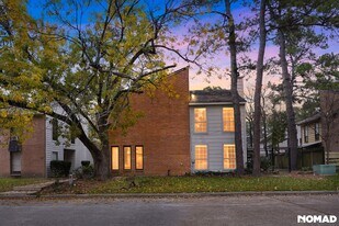 17805 Villa Way Dr in Spring, TX - Building Photo