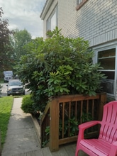 199 Main St in Mountain Dale, NY - Building Photo - Building Photo