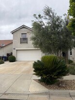 1315 Pennyroyal Ct in Patterson, CA - Building Photo
