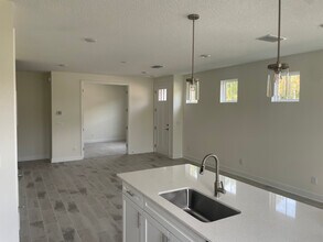 106 Big Pne Ln in Nocatee, FL - Foto de edificio - Building Photo