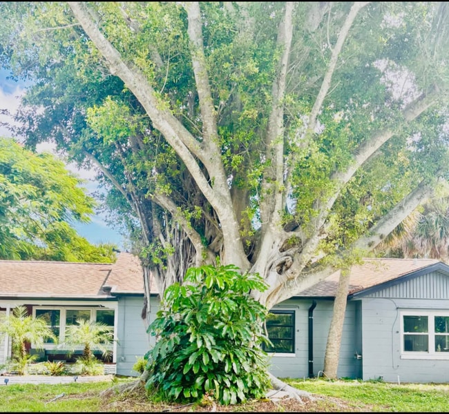 property at 857 Banyan Dr