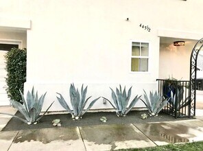 445 1/2 Begonia Ave in Newport Beach, CA - Building Photo - Building Photo