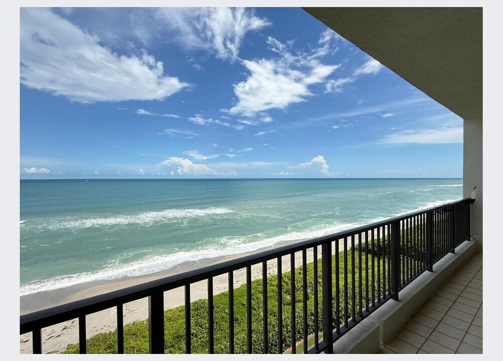 800 Ocean Dr in Juno Beach, FL - Building Photo