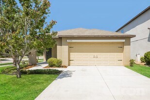 10129 Carloway Hills Dr in Wimauma, FL - Building Photo