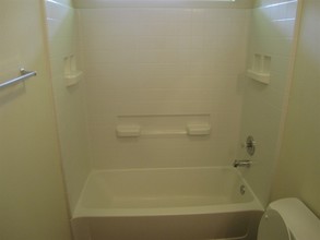 2402 Hiacintas Way in Houston, TX - Building Photo - Building Photo