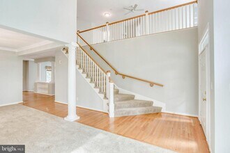 26161 Rachel Hill Dr in Chantilly, VA - Building Photo - Building Photo