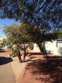 Canyon Gardens in Phoenix, AZ - Foto de edificio - Building Photo