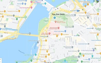 4 Emerson Pl, Unit SI ID1059124P in Boston, MA - Building Photo - Building Photo