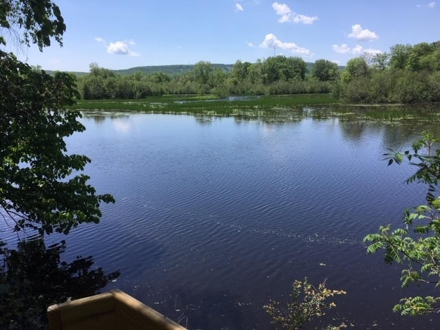 property at 1320 17th S Ave