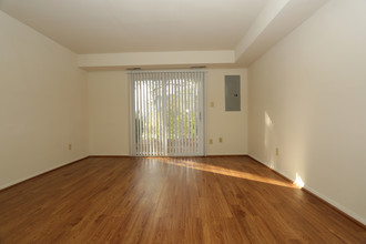 Jefferson Townhouses in Richmond, VA - Foto de edificio - Interior Photo