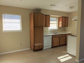 915 Alexander St in Houston, TX - Foto de edificio - Building Photo