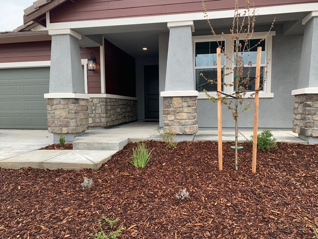 12349 Passerine Ct in Rancho Cordova, CA - Building Photo - Building Photo