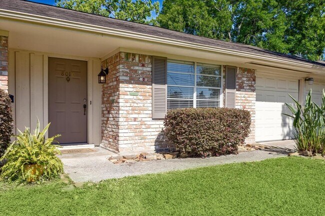 8010 Braeburn Valley Dr in Houston, TX - Building Photo - Building Photo