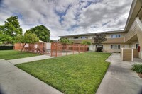 Colony Apartments in Mountain View, CA - Building Photo - Building Photo