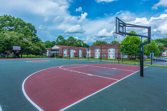 Ashley Oaks in Charleston, SC - Building Photo - Building Photo