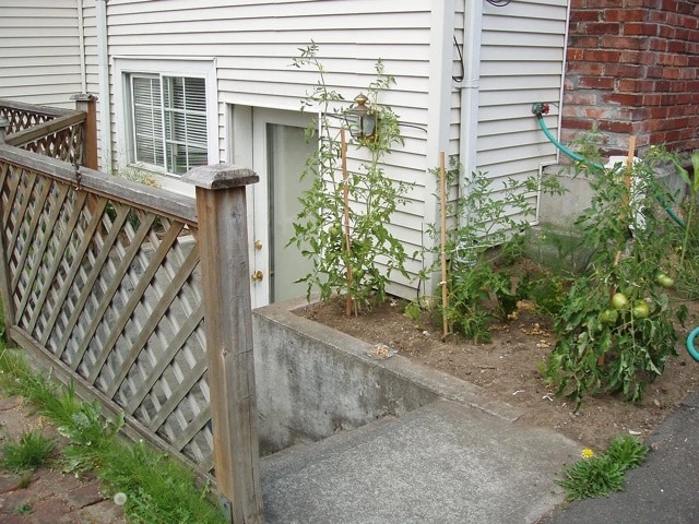 5214 Woodlawn Ave N, Unit #B in Seattle, WA - Building Photo - Building Photo