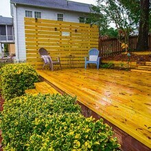 1120 Shades Crest Rd in Birmingham, AL - Building Photo - Building Photo