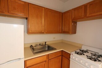 1167 N Dearborn St in Chicago, IL - Building Photo - Building Photo