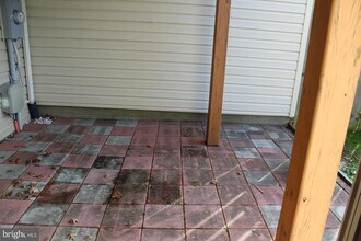 22167 Napier Terrace in Broadlands, VA - Building Photo - Building Photo