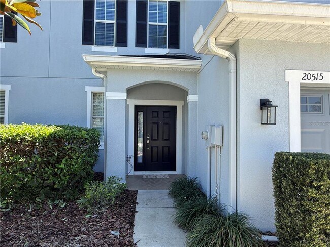 20515 Grand Vista Ln in Tampa, FL - Building Photo - Building Photo