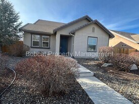 1108 Fiore Ct in Minden, NV - Building Photo