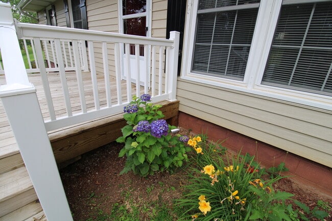 12 King Arthur Pl in Asheville, NC - Building Photo - Building Photo