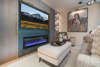 700 S Monarch St in Aspen, CO - Building Photo - Building Photo