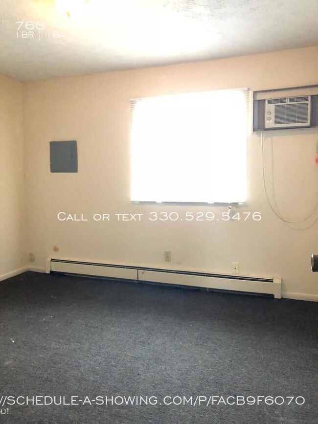 766 Anderson Ave in Akron, OH - Building Photo - Building Photo