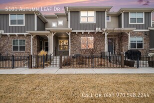 5101 Autumn Leaf Dr in Timnath, CO - Building Photo
