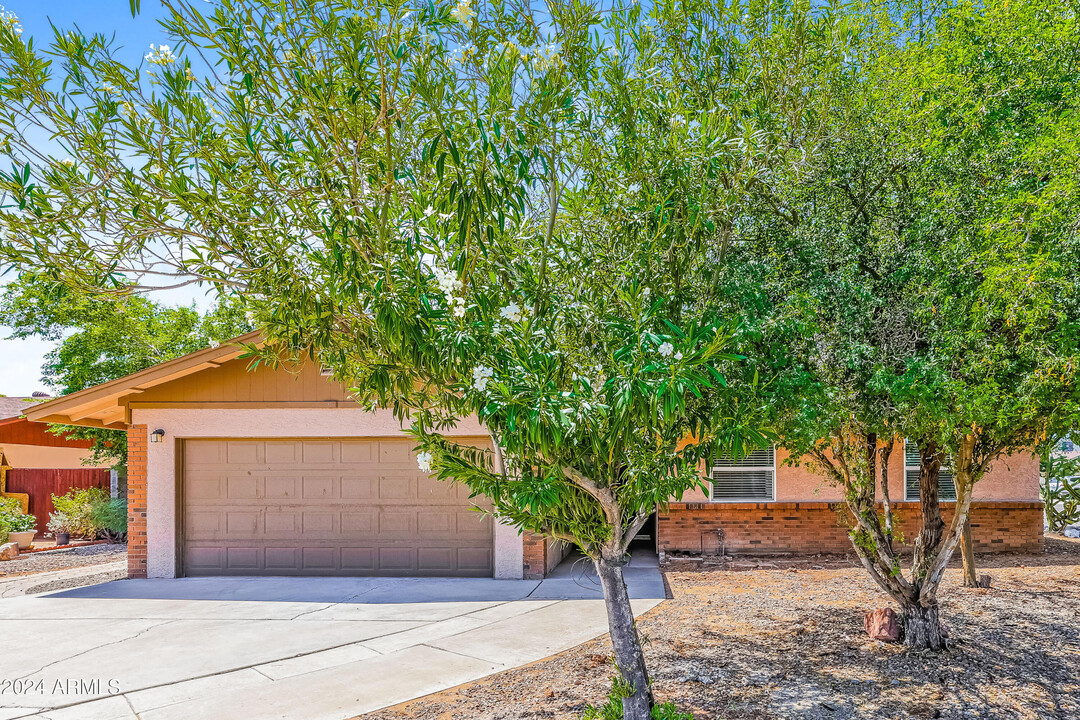 2401 E Javelina Ave in Mesa, AZ - Building Photo