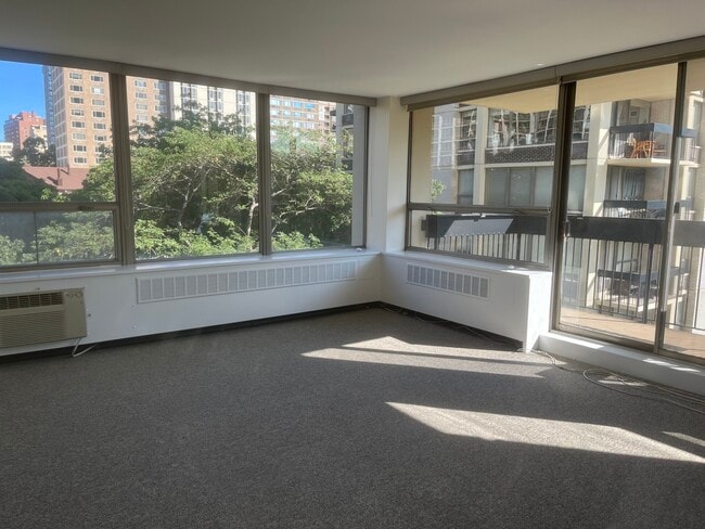 1360 N Sandburg Terrace in Chicago, IL - Building Photo - Building Photo