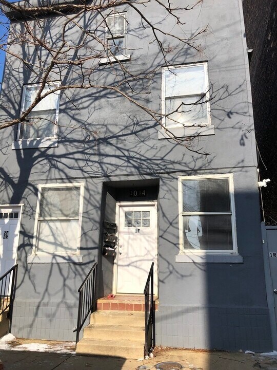 1014 W 19th St in Chicago, IL - Building Photo