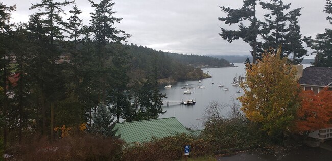 500 Jensen Alley in Friday Harbor, WA - Building Photo - Building Photo