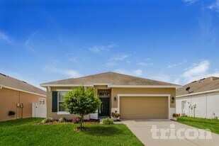 30656 Palmerston Pl in Wesley Chapel, FL - Building Photo