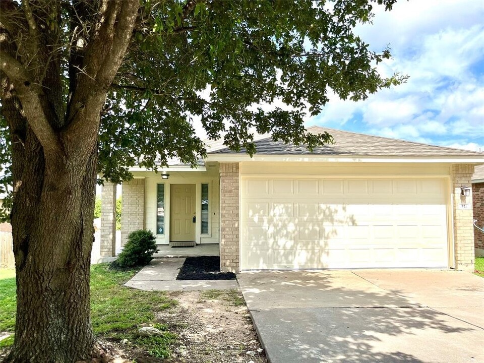 317 Tudor House Rd in Pflugerville, TX - Building Photo