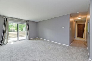 1464 Stonebridge Cir in Wheaton, IL - Building Photo