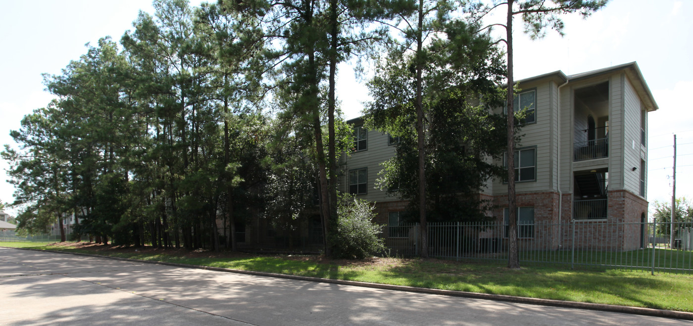 Cornerstone Village Apartments in Houston, TX - Foto de edificio